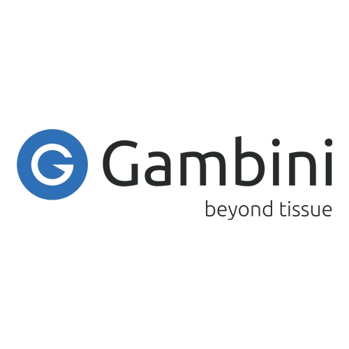 GAMBINI - logo
