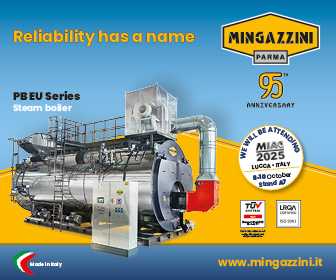 MINGAZZINI
