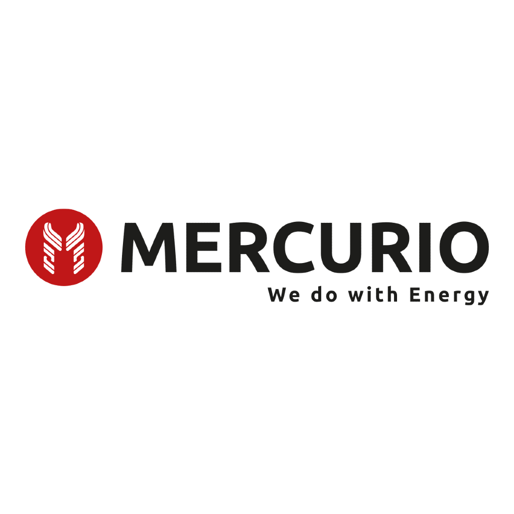 MERCURIO SRL - logo
