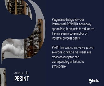 PESINT