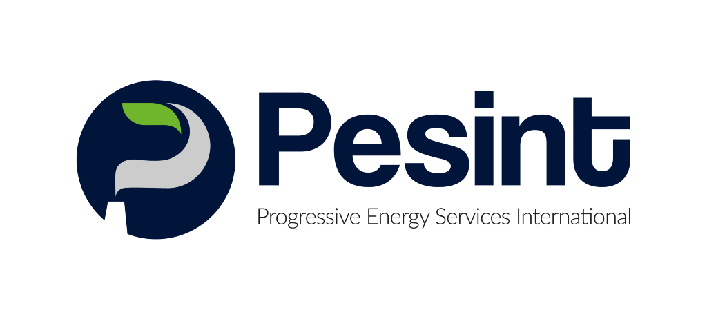 PESINT - logo